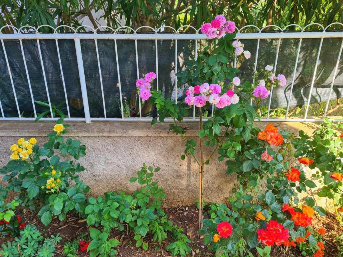 Apartments & Rooms Tom Μεντουλίν Εξωτερικό φωτογραφία
