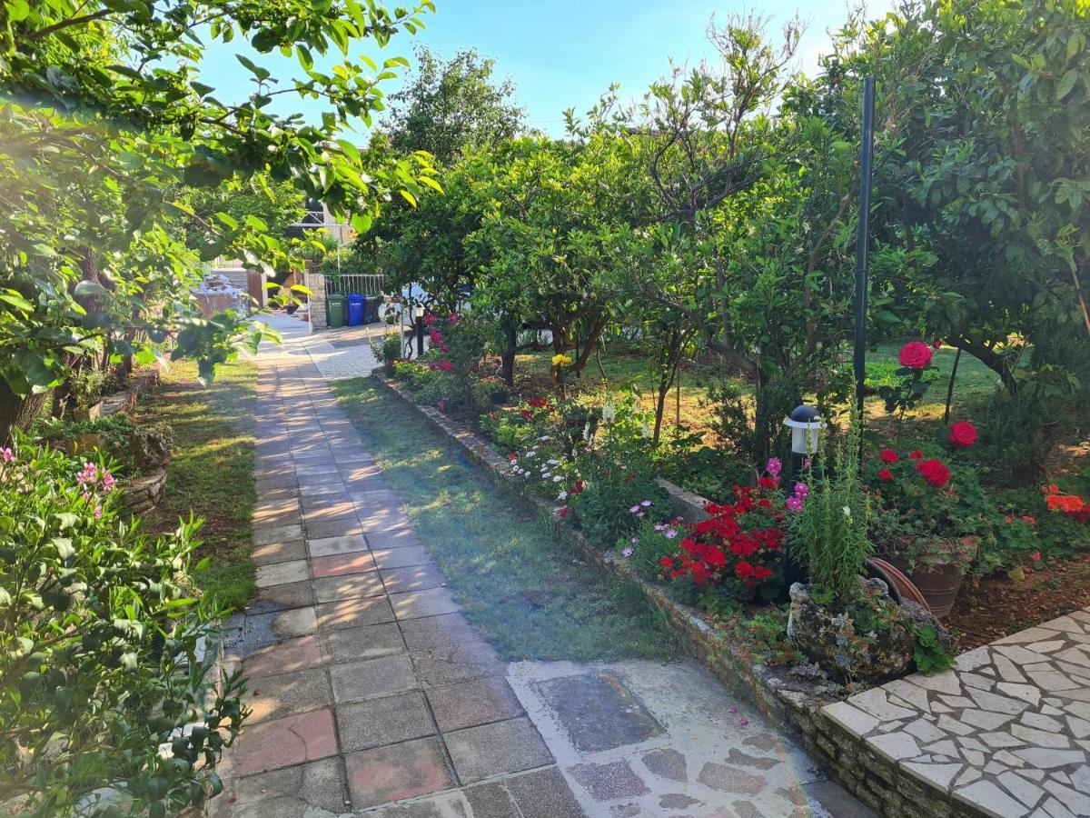 Apartments & Rooms Tom Μεντουλίν Εξωτερικό φωτογραφία