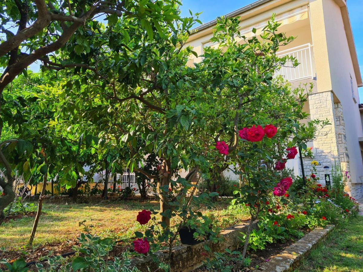 Apartments & Rooms Tom Μεντουλίν Εξωτερικό φωτογραφία